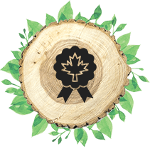 pande-image2 Tree Care
