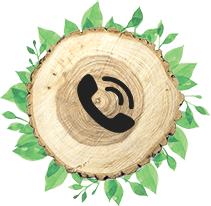 pande-image4 Tree Care